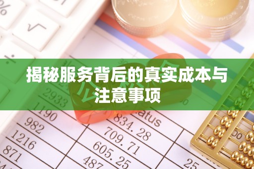南城揭秘服务背后的真实成本与注意事项
