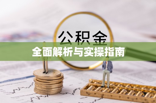 南城全面解析与实操指南