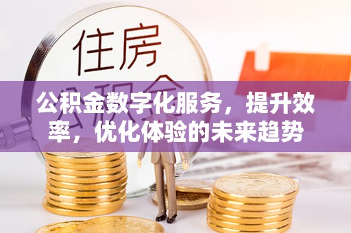 南城公积金数字化服务，提升效率，优化体验的未来趋势