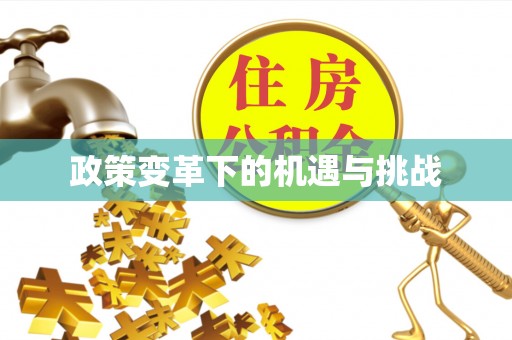 南城政策变革下的机遇与挑战