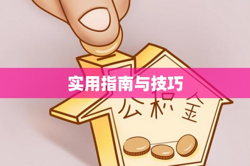 南城实用指南与技巧