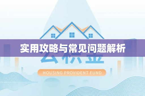 南城实用攻略与常见问题解析