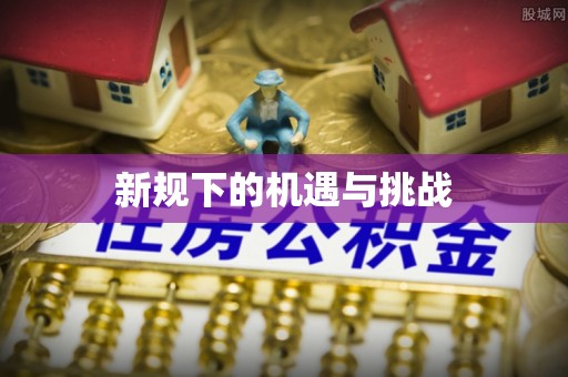 南城新规下的机遇与挑战