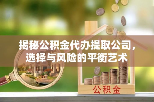 南城揭秘公积金代办提取公司，选择与风险的平衡艺术