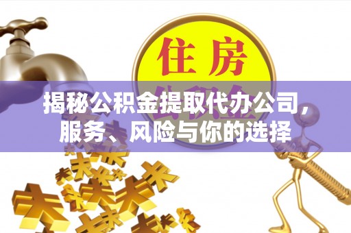 南城揭秘公积金提取代办公司，服务、风险与你的选择