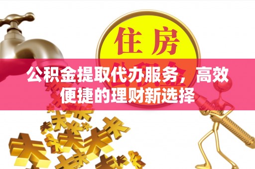 南城公积金提取代办服务，高效便捷的理财新选择