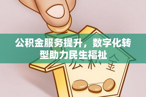 南城公积金服务提升，数字化转型助力民生福祉