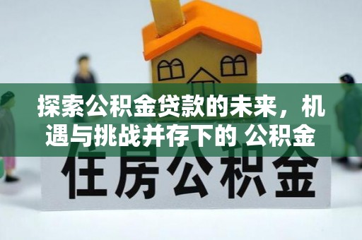 南城探索公积金贷款的未来，机遇与挑战并存下的 公积金贷款风险防控