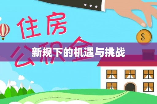南城新规下的机遇与挑战