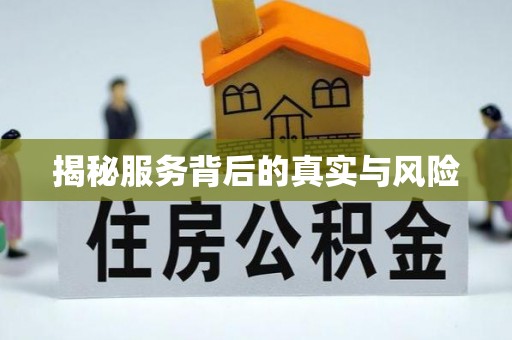 南城揭秘服务背后的真实与风险
