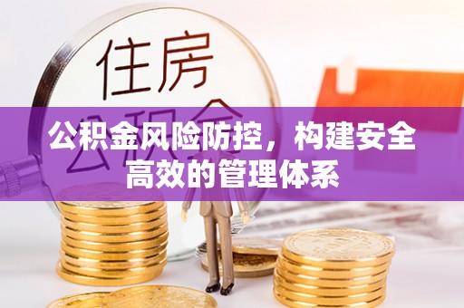 南城公积金风险防控，构建安全高效的管理体系