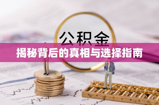 南城揭秘背后的真相与选择指南