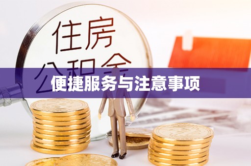 南城便捷服务与注意事项