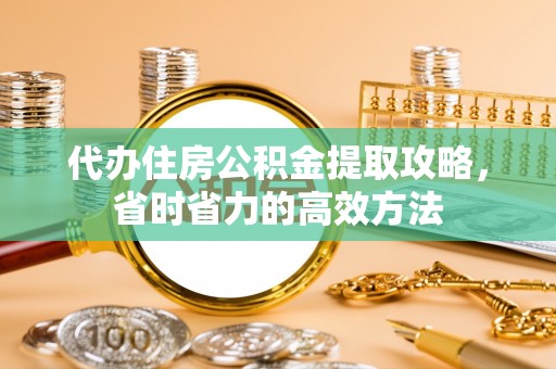 南城代办住房公积金提取攻略，省时省力的高效方法