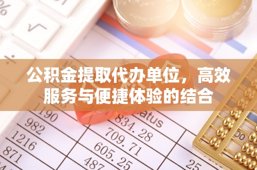 南城公积金提取代办单位，高效服务与便捷体验的结合