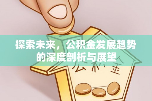 南城探索未来，公积金发展趋势的深度剖析与展望