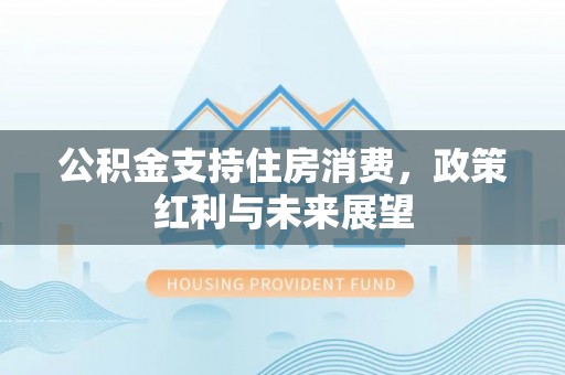 南城公积金支持住房消费，政策红利与未来展望