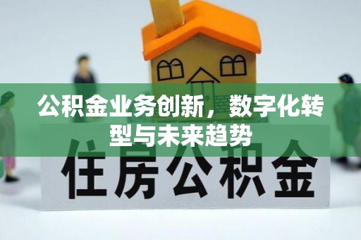 南城公积金业务创新，数字化转型与未来趋势