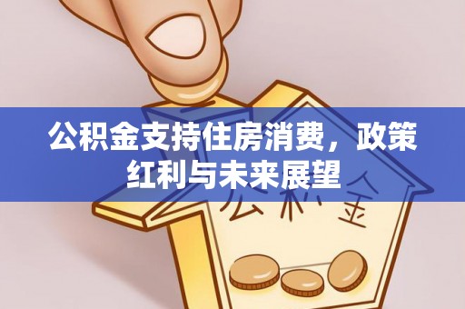 南城公积金支持住房消费，政策红利与未来展望