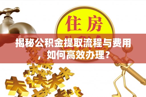 南城揭秘公积金提取流程与费用，如何高效办理？
