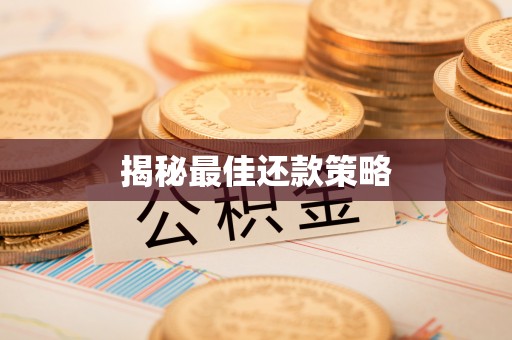 南城揭秘最佳还款策略
