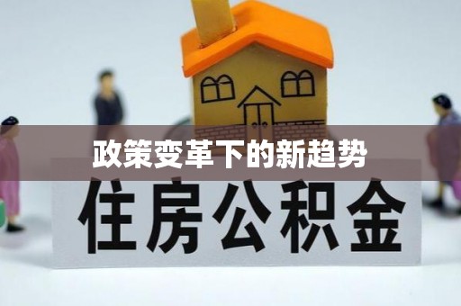南城政策变革下的新趋势