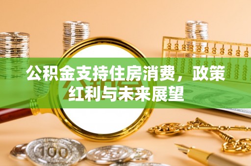 南城公积金支持住房消费，政策红利与未来展望