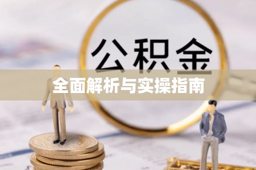南城全面解析与实操指南