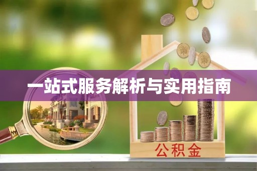 南城一站式服务解析与实用指南