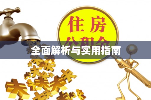 南城全面解析与实用指南