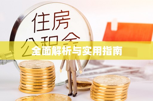南城全面解析与实用指南