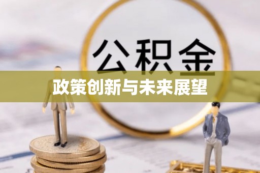 南城政策创新与未来展望