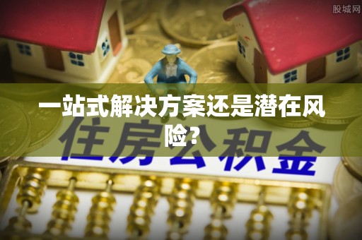 南城一站式解决方案还是潜在风险？