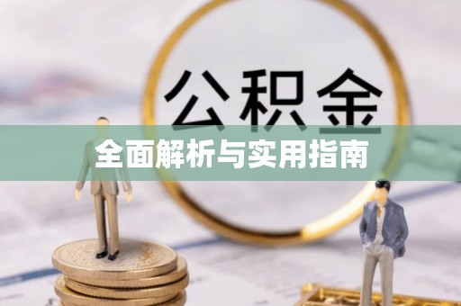 南城全面解析与实用指南