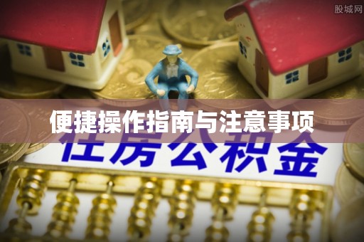 南城便捷操作指南与注意事项