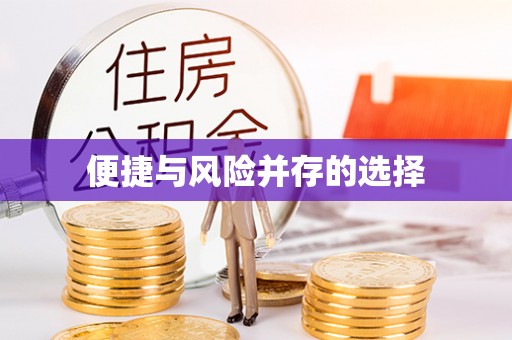 南城便捷与风险并存的选择