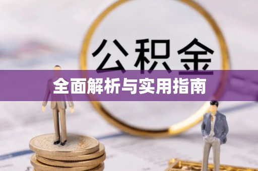 南城全面解析与实用指南