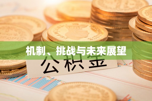南城机制、挑战与未来展望